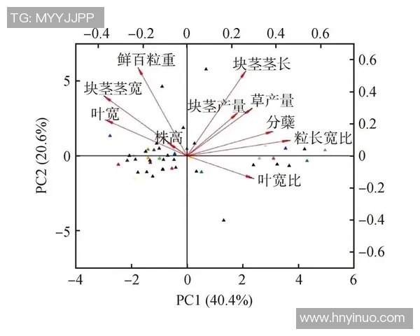 西安赛区选拔赛球队速度表现分析与点评探讨