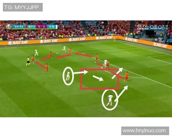 实时新闻深入分析成都排球队阵地战战术及其战术优势与应用